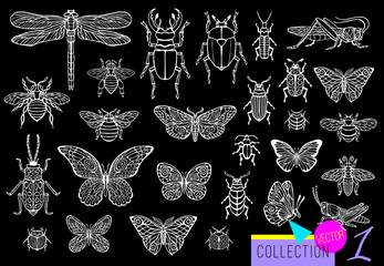 Wall Mural - Big hand drawn line set of insects bugs, beetles, honey bees, butterfly moth, bumblebee, wasp, dragonfly, grasshopper. Silhouette vintage sketch style engraved illustration.