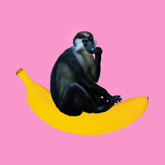 Minimal Contemporary collage art. Monkey sitting on a banana. Fun art