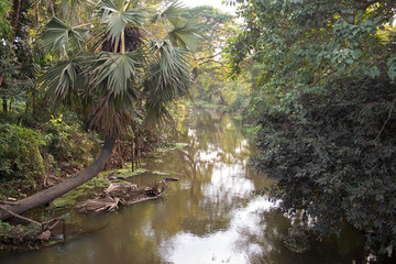 Wall Mural - Riverview of  Siem Reap, Cambodia  has  a picturesque city centre