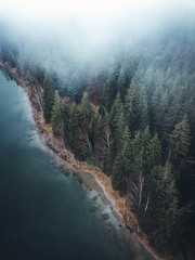 Wall Mural - Scenic evergeen foggy forest and lake in autumn,captured with a drone from above.