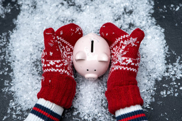 Picture of man's hands in red mittens holding piggy bank