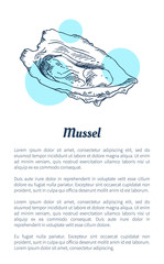Wall Mural - Mussel Marine Creature Hand Drawn Poster with Text