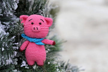 Wall Mural - Christmas card with knitted toy pig on background of snow covered fir branches. Chinese New Year of Pig, Zodiac symbol 2019, free copy space for text