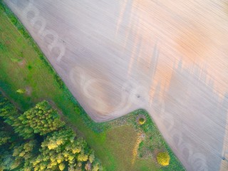 Canvas Print - Aerial view of a plowland with harrow and tractor tires tracks, Poland