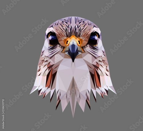 Falcon head on grey background, low poly triangular and wireframe vector illustration EPS 10 isolated Poster Mural XXL