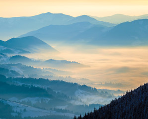 Wall Mural - Blue mountain ranges. Valley in the clouds. Morning sunlight Ukrainian Carpathian Mountains