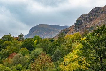 Wall Mural - Gap of Dunloe, Ring of Kerry is, an iconic destination with breathtaking views, lush nature, wildlife and charming Irish villages. County Kerry, Ireland