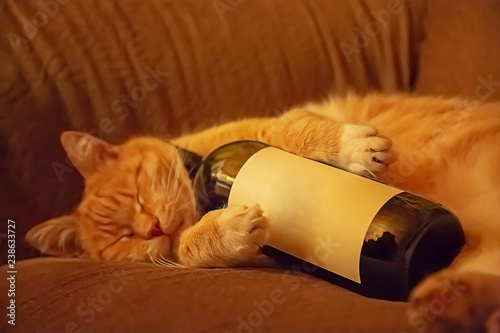 Cuadros en Lienzo Orange cat lying on the couch in an embrace with a bottle of wine
