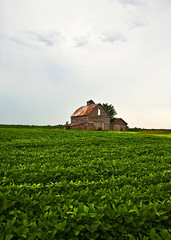 Wall Mural - rural landscape with field and barn