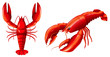 Set of red lobster