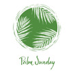 Palm Sunday Calligraphy card Hand lettering Vector illustration