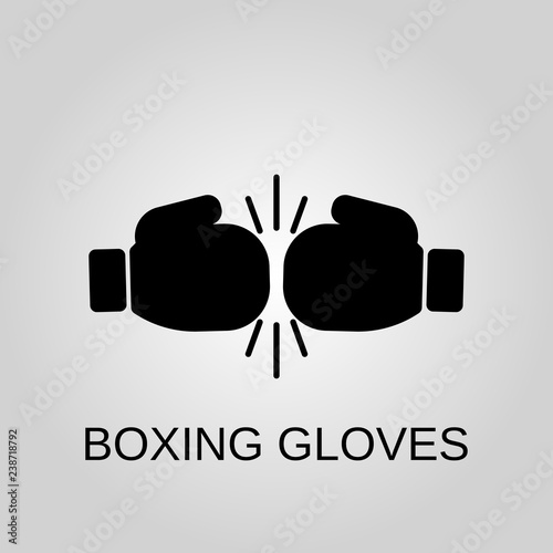 Get Boxing Gloves Icon Vector PNG