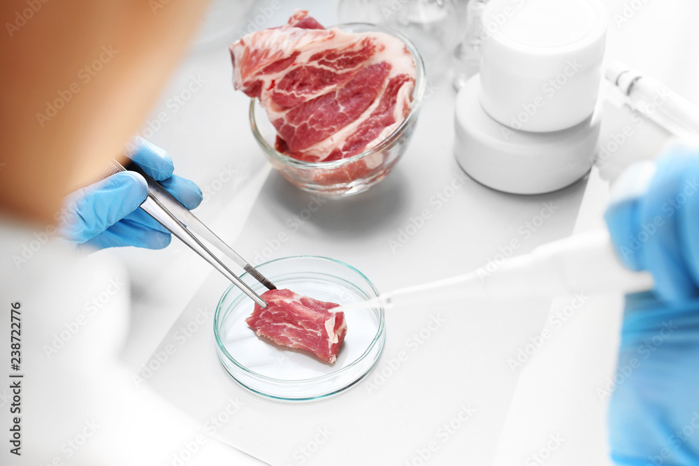  Laboratoryjne badanie mięsa. Laborant bada jakość mięsa w laboratorium badawczym. - obrazy, fototapety, plakaty 