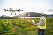 Technician farmer use wifi computer control agriculture drone fly to sprayed fertilizer on grape field, Smart farm concept