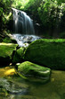 Rain Forest Waterfall and large rocky foreground