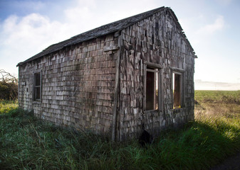 Wall Mural - abandoned shed