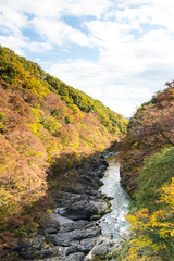 Wall Mural - Takatsudo Gorges wrapped in autumn leaves / Takatsudo Gorges is a valley in Takatsudo Omama-machi, Midori-city, Gunma Prefecture, Japan.