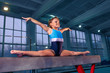 © master1305 - The beautiful little girl is engaged in sports gymnastics on a log at gym. The performance, sport, acrobat, acrobatic, exercise, training concept