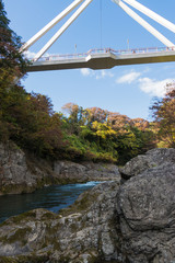 Wall Mural - Takatsudo Gorges wrapped in autumn leaves / Takatsudo Gorges is a valley in Takatsudo Omama-machi, Midori-city, Gunma Prefecture, Japan.
