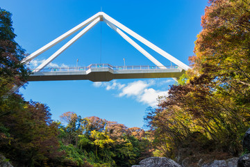 Wall Mural - Takatsudo Gorges wrapped in autumn leaves / Takatsudo Gorges is a valley in Takatsudo Omama-machi, Midori-city, Gunma Prefecture, Japan.