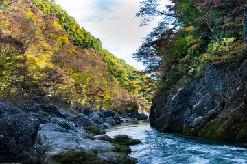 Wall Mural - Takatsudo Gorges wrapped in autumn leaves / Takatsudo Gorges is a valley in Takatsudo Omama-machi, Midori-city, Gunma Prefecture, Japan.