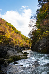 Wall Mural - Takatsudo Gorges wrapped in autumn leaves / Takatsudo Gorges is a valley in Takatsudo Omama-machi, Midori-city, Gunma Prefecture, Japan.