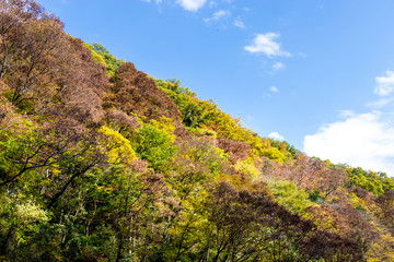 Wall Mural - Takatsudo Gorges wrapped in autumn leaves / Takatsudo Gorges is a valley in Takatsudo Omama-machi, Midori-city, Gunma Prefecture, Japan.