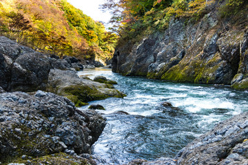 Wall Mural - Takatsudo Gorges wrapped in autumn leaves / Takatsudo Gorges is a valley in Takatsudo Omama-machi, Midori-city, Gunma Prefecture, Japan.