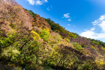 Wall Mural - Takatsudo Gorges wrapped in autumn leaves / Takatsudo Gorges is a valley in Takatsudo Omama-machi, Midori-city, Gunma Prefecture, Japan.