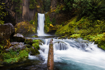 Wall Mural - Toketee Falls, Umpqua National Forest, Oregon