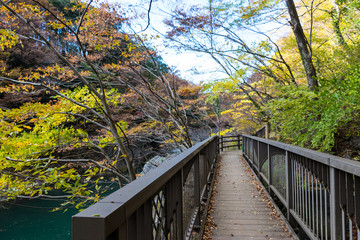 Wall Mural - Takatsudo Gorges wrapped in autumn leaves / Takatsudo Gorges is a valley in Takatsudo Omama-machi, Midori-city, Gunma Prefecture, Japan.