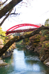 Wall Mural - Takatsudo Gorges wrapped in autumn leaves / Takatsudo Gorges is a valley in Takatsudo Omama-machi, Midori-city, Gunma Prefecture, Japan.