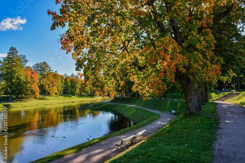 Zdjęcie XXL Pogodny jesień dzień w parku w Gatchina.