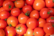 Pile Of Fresh Red Tomatoes