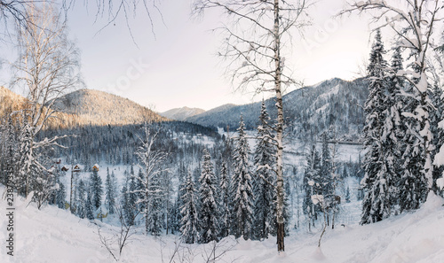 Zdjęcie XXL Grudniowa zimowa wycieczka do rezerwatu Kuznetsk Alatau na nartach. Rosja.