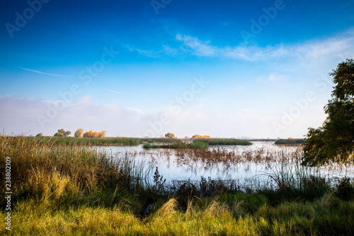 Fotografia, Obraz Marshland at the Merced National Wildlife Refuge in the Central Valley of California USA