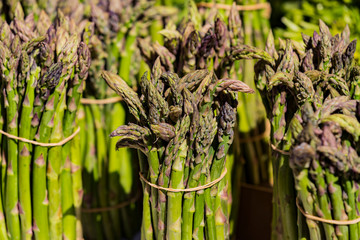 Wall Mural - Bunches of ripe non-GMO green asparagus on a market in Milan in Italy.