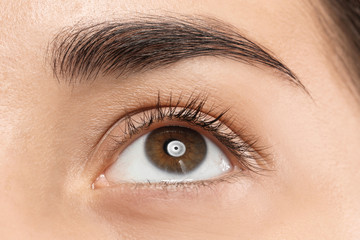 Poster - Young woman with beautiful natural eyelashes, closeup view