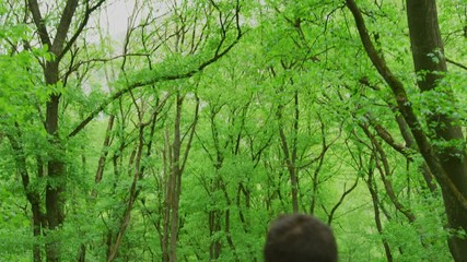 Wall Mural - couple walking under green branches