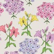 Summer flowers. Seamless  pattern. Colorful lilies and Phlox on ivory background.