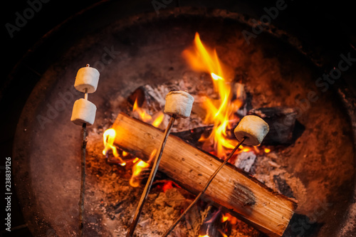キャンプで焼きマシュマロ Marshmallow Baked In The Camping Foto De Stock Adobe Stock