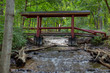 © Phil Lowe - A wooden footbridge crosses a tributary of the Huron River in Mill Pond Park, Commerce Township, Michigan.