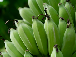 Close up raw banana