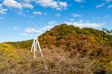 Wall Mural - Takatsudo Gorges wrapped in autumn leaves / Takatsudo Gorges is a valley in Takatsudo Omama-machi, Midori-city, Gunma Prefecture, Japan.