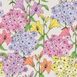 Summer flowers. Seamless vector pattern. Colorful lilies and Phlox on ivory background.