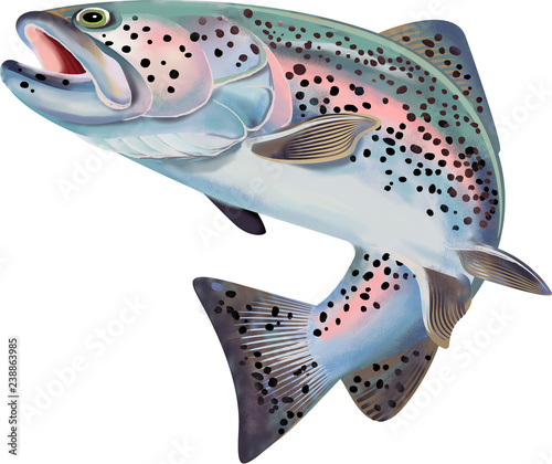 Dekoracja na wymiar  ilustracja-ryby-pstraga-kolorowa-ilustracja-ze-szczegolami