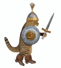 The Cat Knight In A Helmet With Feathers Holds A Sword And A Round Shield A Coat Of Arms. He Is Walking. White Background.