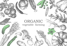 Hand-drawn Illustration Of Vegetables, Vector