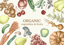 Hand-drawn Illustration Of Vegetables And Fruits. Vector