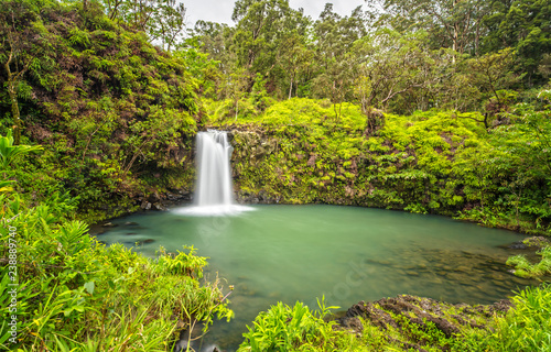 Fotomural Puaa Kaa Falls in Maui, Hawaii